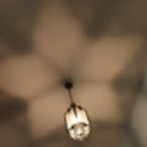 Meet your Posher, Chance - Picture 1 of 1